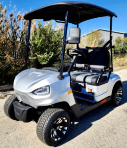 Shop Golf Carts